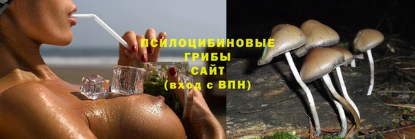 тгк Арсеньев