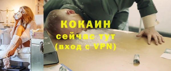PSILOCYBIN Армянск