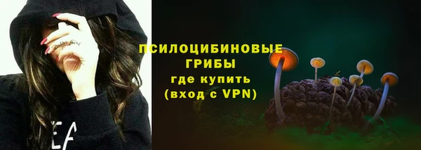 PSILOCYBIN Армянск