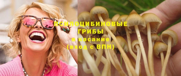 Альфа ПВП Аркадак