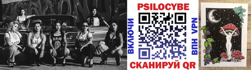 Псилоцибиновые грибы Magic Shrooms  закладка  Советск 